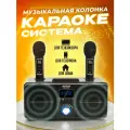 Караоке система с двумя микрофонами SDRD SD-309
