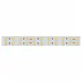 Светодиодная Лента RT-B144-19mm 24V Day4000 (34.4 W/m, IP20, 5060, 5m) (Arlight, Открытый) 025274(2)
