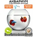 Аквариум vecchio vaso шар круглый стеклянный для рыбок 7 литров