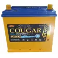 Аккумулятор автомобильный Cougar EFB Asia 65 А/ч 750 А обр. пол. 75D23L Азия авто (232х173х225) с бортиком