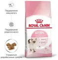 Сухой корм для котят Royal Canin Kitten, 2 шт. х 300 г