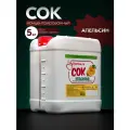 Сок концентрированный Апельсиновый 5кг. (Djemka)