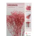 Букет Гипсофила розовая стабилизированная, готовая цветочная композиция, банч 5-7 веток, высота 45 см