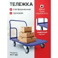 Тележка грузовая платформенная, Rusklad ТП 1 (500х800), г/п 300 кг