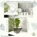 Набор для создания флорариума: форма Скошенный квадрат L, большой