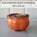 Керамический горшок для суккулентов и кактусов / Керамический горшок для цветов. Оранжевый/коричневый