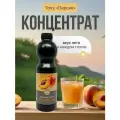 Основа Torry Персик, для напитков, коктейлей, десертов, пластиковая бутылка, 1 кг