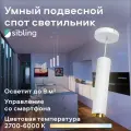 Умный подвесной спот Sibling Interior Light-ZSSLW 24 Вт белый