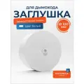 Заглушка для дымохода (для ревизии, для прочистного кармана) белая стальная D 100 мм