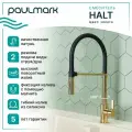Смеситель для кухни с гибким изливом Paulmark HALT золото, Ha214021-G