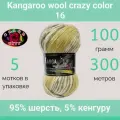 Пряжа Color City Kangaroo wool crazy color 16 (100г/300м, упаковка 5 мотков)