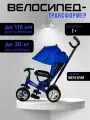 Велосипед-трансформер Меркурий трёхколесный с ручкой, нагрузка до 30 кг, для детей от 1+, синий
