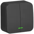 Выключатель двухклавишный с подсветкой антрацит, 10А, 250B, Systeme Electric Blanca (комплект 5шт)