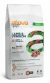 Корм сухой для взрослых собак средних и крупных пород ALLEVA Holistic беззерновой с ягненком и олениной, коноплей и женьшенем, 12 кг