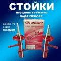Стойка передняя 2шт для Лада Приора под пружину с занижением -70 газомасляная Демфи Премиум (ВАЗ 2170, 2172)