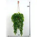 Искусственные кусты Свисающие (эвкалипт) в подвесном кашпо от бренда Holodilova