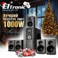 Акустическая система Eltronic, 30-48, караоке, Bluetooth, сабвуфер, 100 Вт