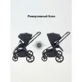 Коляска прогулочная Rant FLEX Color RA118 Midnight Black