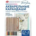 Белые ночи Карандаши акварельные цветные для рисования набор Животные и птицы 13 цветов