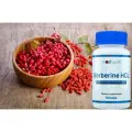 Noxygen Berberin HCL 500mg/60капс - жиросжигающий препарат, 98% берберина