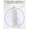 Lebеl Viege Shampoo Шампунь для волос и кожи головы 240мл