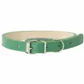 Ошейник Mr. Kranch для собак из натуральной кожи 48-60см, зеленый