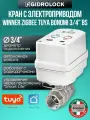 Кран шаровой с электроприводом Gidrolock Winner Zigbee Tuya Bonomi 3/4 BS