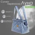 Сумка-переноска для кошек и собак Луна 36х26х20 см бренд Gamma