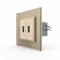 Розетка с двумя USB type-A, блоком питания 5В 2.1А, 1 пост, цвет золотой LIVOLO ORIGINAL
