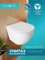 Унитаз подвесной OWL 1975 Qappo Tornado 490х370х360 безободковый с сидением микролифт, скрытое торнадо