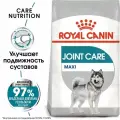 ROYAL CANIN MAXI JOINT CARE корм для собак крупных размеров с повышенной чувствительностью суставов