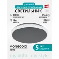 EGLO Накладной светильник Mongodio 98712 светодиодный, 11.5 Вт, цвет арматуры: серый