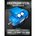 Электродвигатель 380В 0,75кВт/3000об/мин вал 19мм лаповый 1081 VEMPER