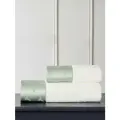 Набор махровых полотенец Tivolyo Home Colibri ментоловый 2 предмета