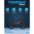 Велосипед TORRENT Bandit (рама сталь 10, подростковый, BMX, колеса 20д.)