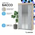 1 шт шкаф-купе Бассо 1,0м дуб крафт серый/бетонный камень + 2 шт Зеркало для ШК Бассо 1,0м (Интерьер-Центр)