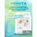 Концентрат профессиональный для мытья стекол квинта 5кг