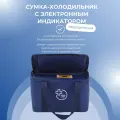 Сумка-холодильник медицинская НПФ Медтехника для перевозки биологических материалов с охлаждающими элементами и электронным индикатором