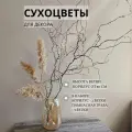 Сухоцветы для декора, пампасная трава 3 шт, ветки корилус 2 шт