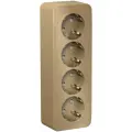 Розетка Systeme Electric Blanca BLNRA011414, 4 розетки, заземление, защитные шторки, цвет титан