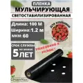 Пленка мульчирующая для клубники