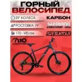 Велосипед карбоновый LORAK Carbon 29 200 Матовый Чёрный/Золотой глянец под рост 170-185 см.