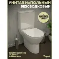 Унитаз напольный безободковый с быстросъемным сиденьем микролифт Teymi Ritta T40803