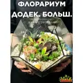 Флорариум с суккулентами Додекаэдр бол.