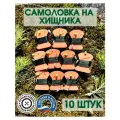 Жерлицы самоловки на щуку, оснащенные 10 шт