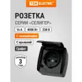Розетка 2П+З открытой установки IP54 16А с крышкой графит Селигер TDM