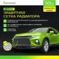 Защитная сетка радиатора, защита радиатора профессиональная, 1000x250, полимерный материал, 50 шт