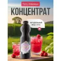 Основа Torry Малина, для коктейлей, напитков, десертов, пластиковая бутылка, 1 кг