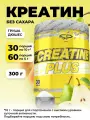 STEELPOWER Креатин моногидрат CREATINE PLUS, 8000 мг, 300 гр, Груша