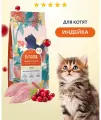 FLORIDA (Флорида) Сухой корм для котят с индейкой и клюквой 0,8 кг